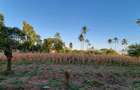 3 ac Land at Mtwapa - 8