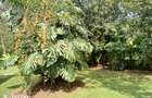 5 Bed Villa with En Suite in Rosslyn - 11