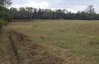 Land in Karen - 1