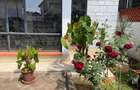 5 Bed Townhouse at Shanzu Road - 10