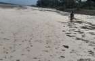 20 ac Land in Diani - 3