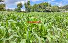 7.5 ac Land in Kikuyu Town - 9