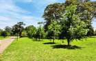 1 ac Residential Land at Three Dee Lane - 2