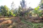 0.587 ac Land at Shanzu Road - 5