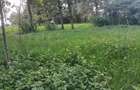 Land at Kibiko Ngong - 15