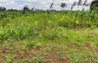 0.05 ha Residential Land in Kikuyu Town - 3