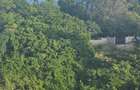 2 ac Land at Shanzu - 4
