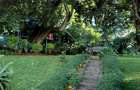 5 Bed House with Staff Quarters in Gigiri - 5