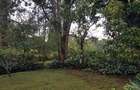 3 Bed House with En Suite at Rosslyn Lonetree - 8