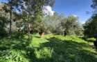 0.5 ac Land in Lake View - 1
