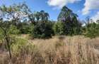 6 ac Land in Nanyuki - 1