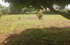 Land in Rosslyn - 6