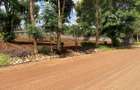 Residential Land in Tatu City - 4