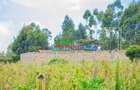 0.05 ha Residential Land at Ng'Amba - 3