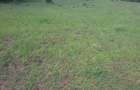 2 ac Land in Ongata Rongai - 14