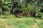 1 ac Land in Muthaiga - 2