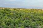 0.045 ha Land at Mayungu - 7