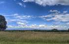 10 ac Land in Nanyuki - 2