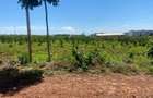 5 ac Land at Evergreen - Kiambu Road - 6