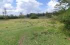 0.5 ac Residential Land in Karen - 1