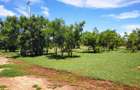 Land in Vipingo - 13