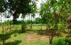 8 ac Land in Kikambala - 6