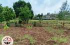 500 m² Residential Land at Migumoini - 2