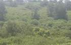 0.25 ac Land in Ruiru - 1