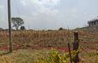 0.5 ac Land at Runda - 8
