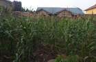 0.0123 ac Land in Ongata Rongai - 7