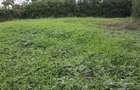 0.1 ha Residential Land in Ngong - 3