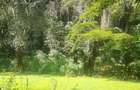 0.75 ac Residential Land at Naivasha Road - 6