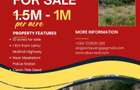 Land at Lamu Malindi Highway - 1