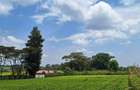 1 ac Residential Land at Tigoni - 1