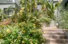 Furnished 2 Bed Apartment with En Suite in Gigiri - 12