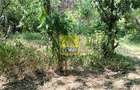Commercial Property in Westlands Area - 6