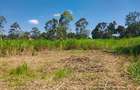 0.5 ac Land in Ridgeways - 4
