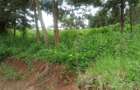 0.25 ac Residential Land at St. Julian Ack Center - 2