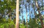 1 ac Land at Kikambala - 4