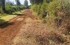 Land at Kibirichia - 10