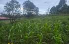 1 ac Land at Gicharani - 4