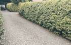 3 Bed House with En Suite at Karen Road - 11