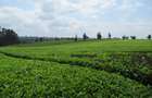 Commercial Land at Kiambu Road - 2