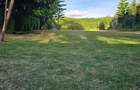 0.25 ac Residential Land at Kamakis - 9