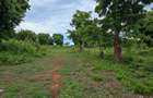 4.5 ac Land at Mtwapa - 14