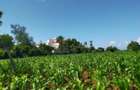 2 ac Land in Bofa - 4