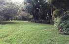 3 Bed Townhouse with En Suite in Gigiri - 17