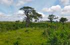 506 m² Land at Mavueni - Mariakani Bypass - 17