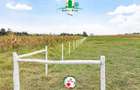0.0430 ha Residential Land in Naivasha - 3