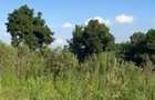 4 ac Land at Riara Ridge - 3